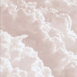 Meet your Posher, Bailey